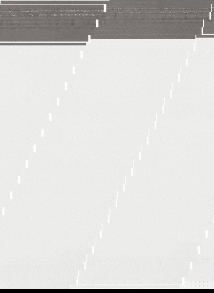 Courier Mailing Envelope: 11